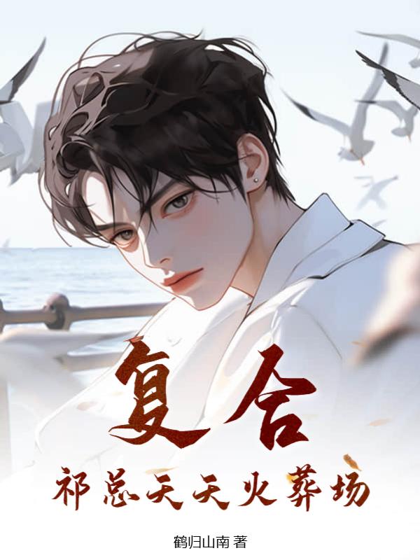 覆合？祁总天天火葬场封面