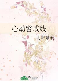 心动警戒线封面