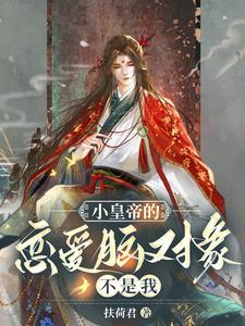 小皇帝的恋爱脑对象不是我封面