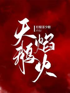 天鹅焰火封面