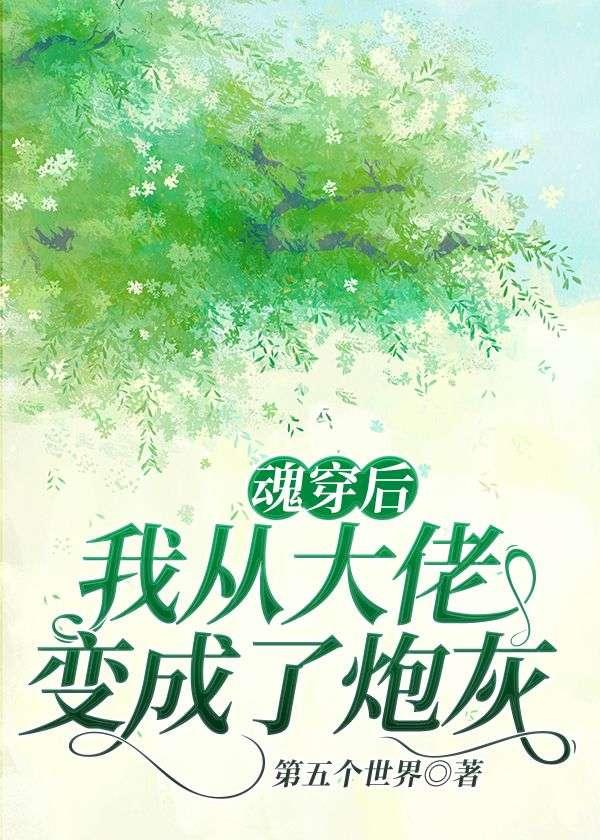 魂穿后我从大佬变成了炮灰封面