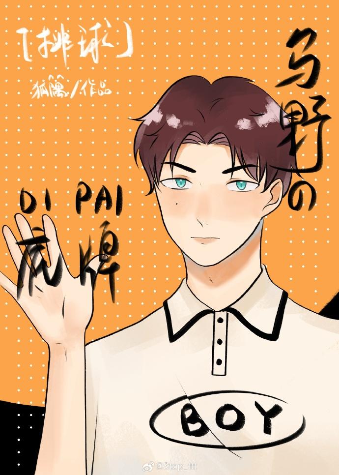 [排球]乌野的底牌封面
