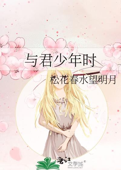与君少年时封面