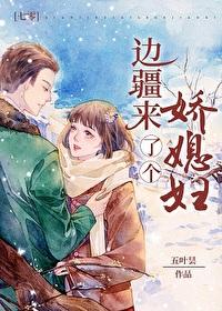 边疆来了个娇媳妇[年代]封面