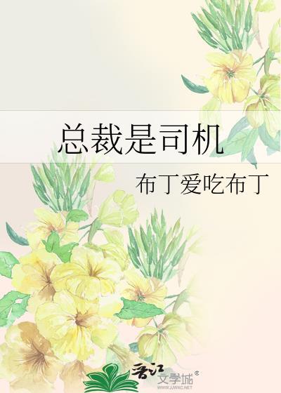 总裁是司机封面