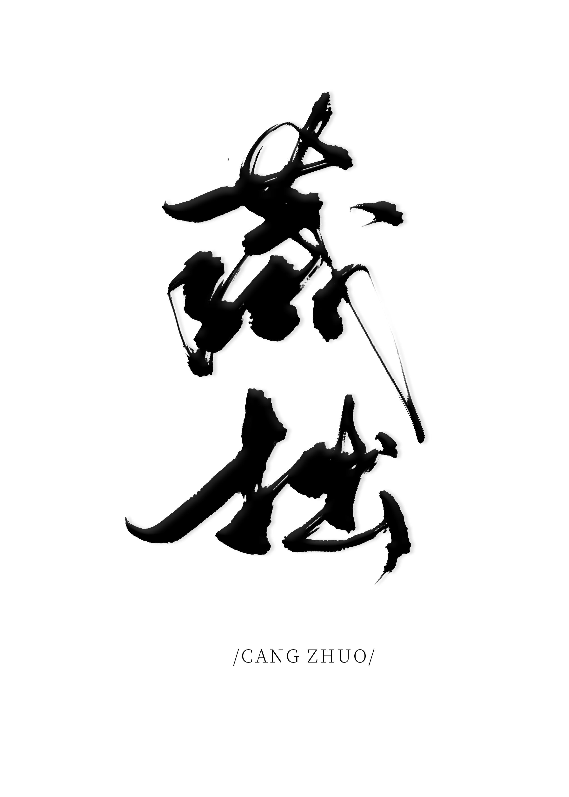 藏拙封面