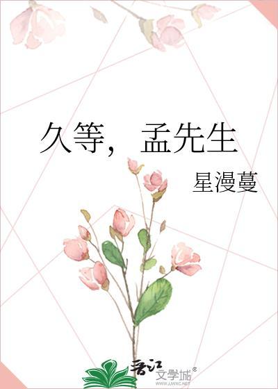 久等，孟先生封面