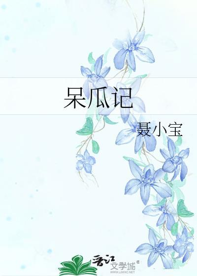 呆瓜记封面