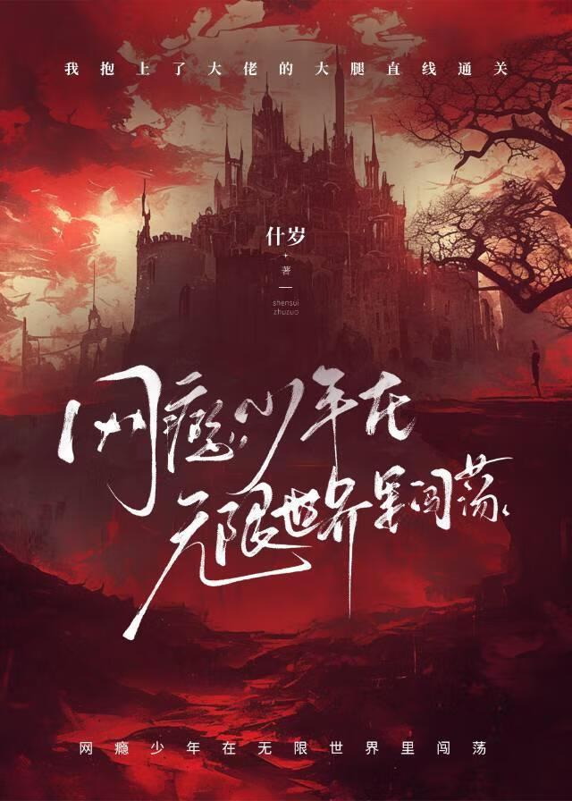 网瘾少年在无限世界裏闯荡封面