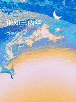 谁知三两年封面