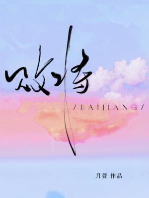 败将封面
