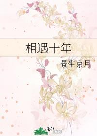 相遇十年封面
