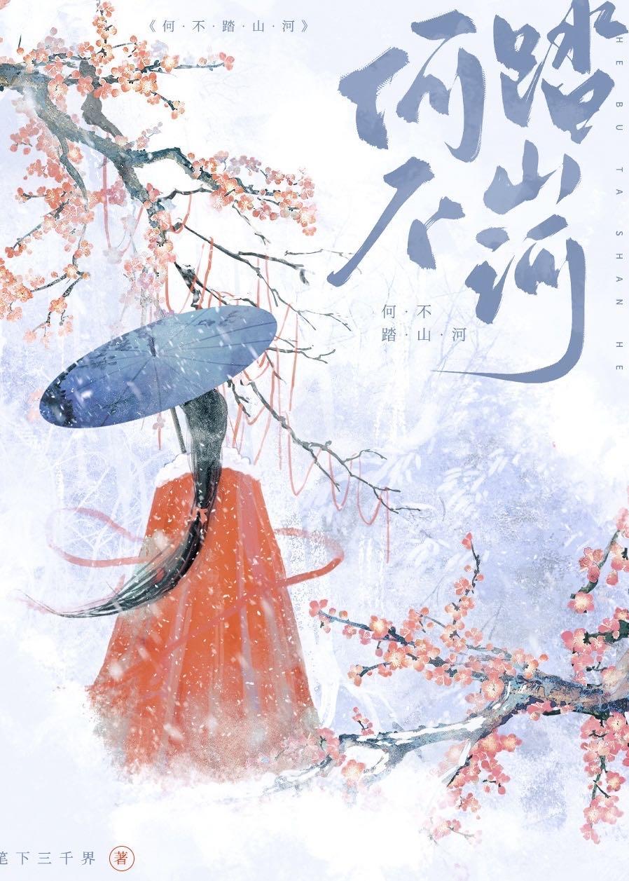 何不踏山河封面
