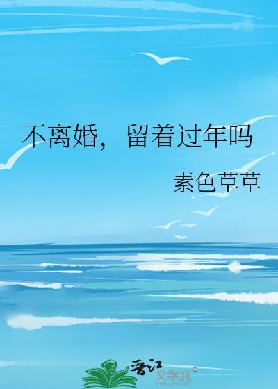 不离婚，留着过年吗封面