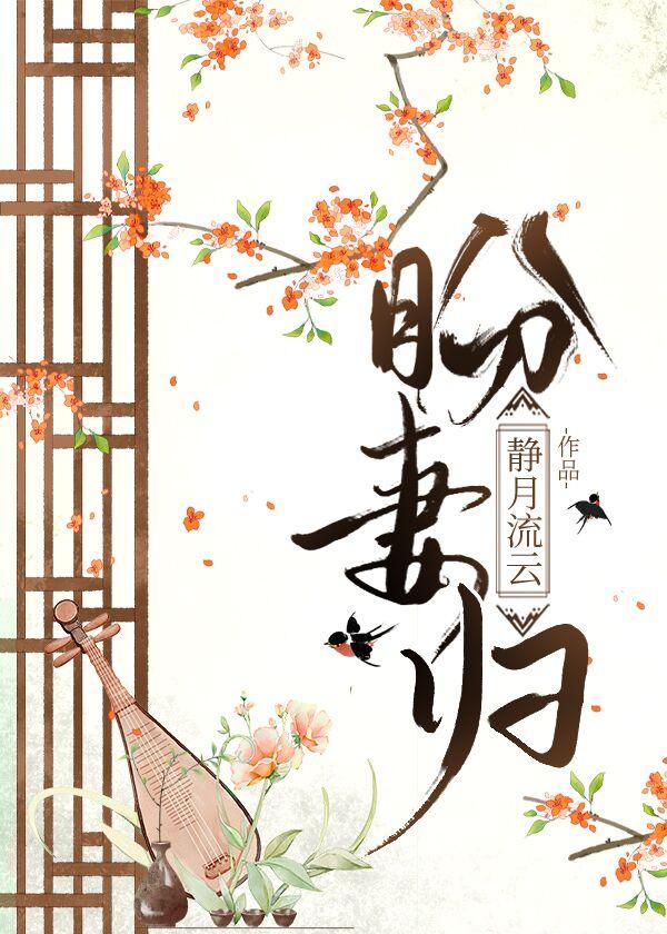 盼妻归封面