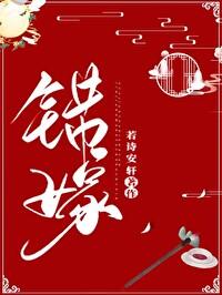 错嫁封面