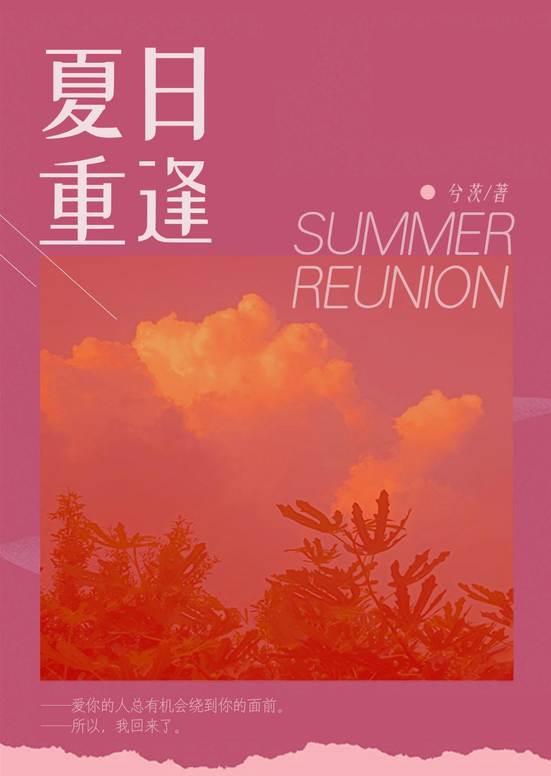 夏日重逢封面