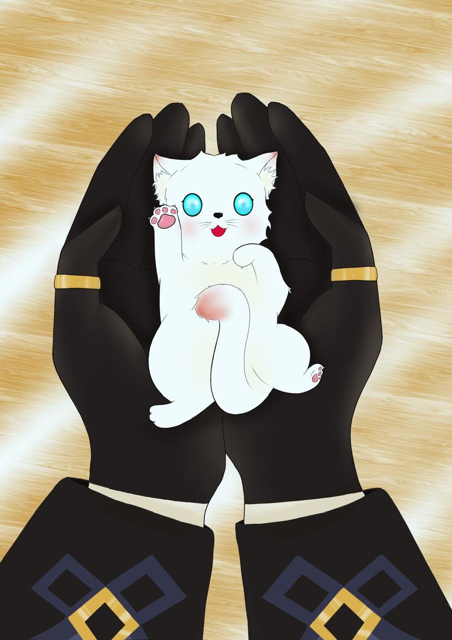 [原神]今天猫猫也在努力生存封面