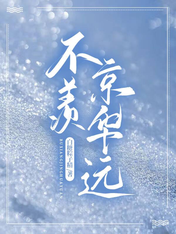 不羡京华远封面