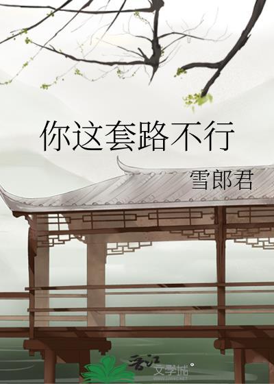你这套路不行封面
