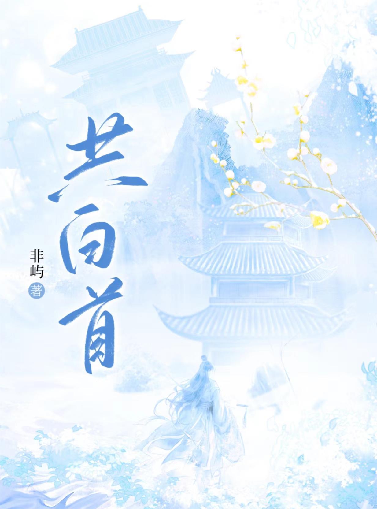 共白首（双重生）封面