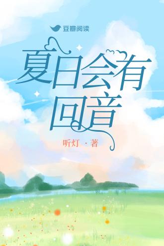 夏日会有回音封面