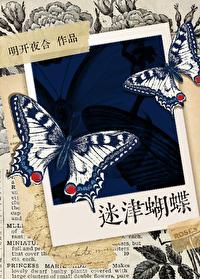迷津蝴蝶封面