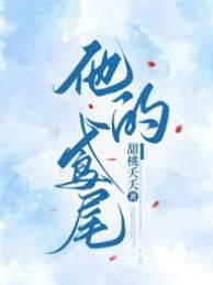 他的鸢尾封面