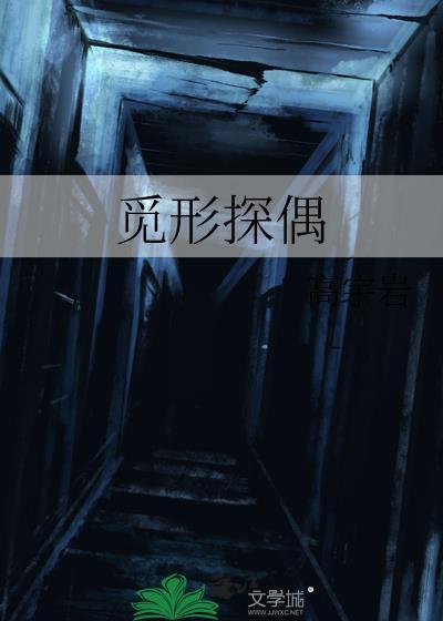 觅形探偶封面