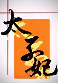 太子梦我三百遍封面