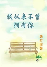 我从来不曾拥有你封面