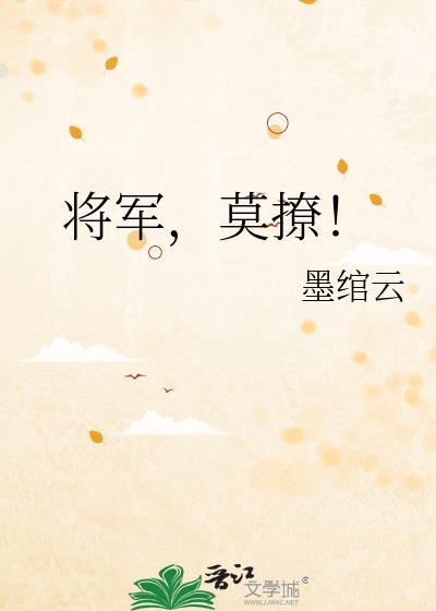将军，莫撩！封面