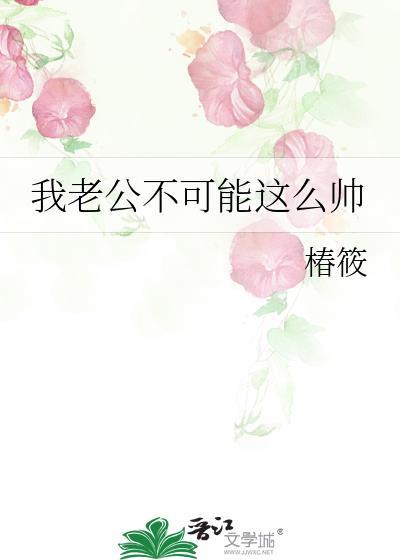 我老公不可能这么帅封面