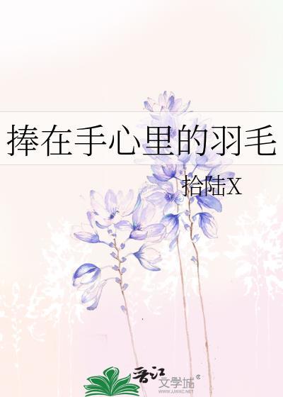 捧在手心裏的羽毛封面
