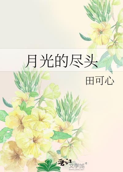 月光的尽头封面