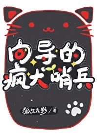 向导的疯犬哨兵封面
