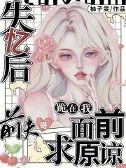 失忆后，前夫哥跪在我面前求原谅封面