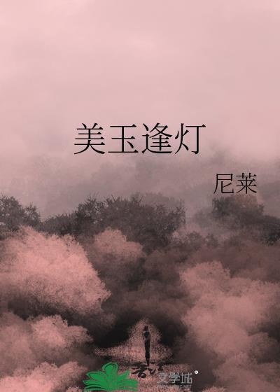 美玉逢灯封面