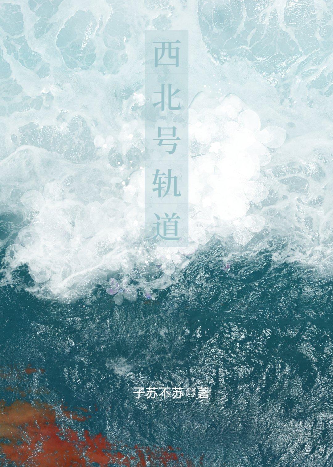 西北号轨道封面
