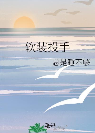 软装投手封面