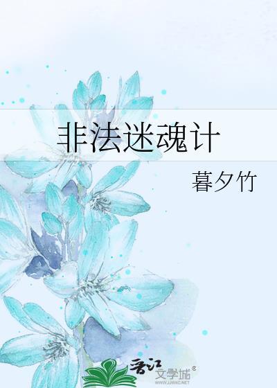 非法迷魂计封面
