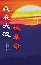我在大汉搞革命封面