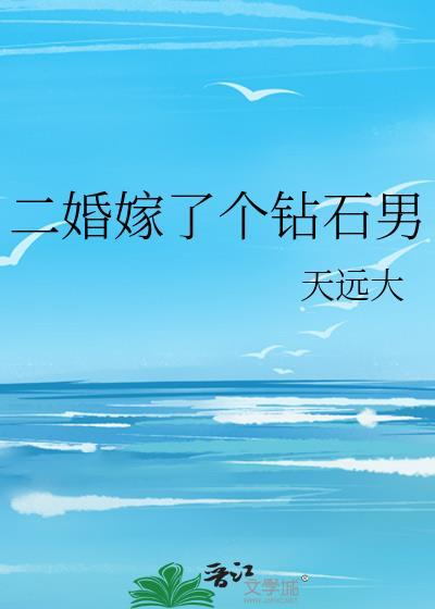 二婚嫁了个钻石男封面
