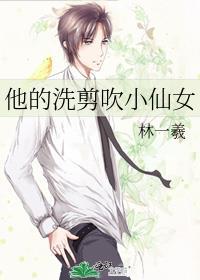 他的洗剪吹小仙女封面