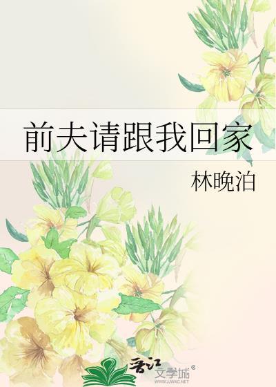 前夫请跟我回家封面