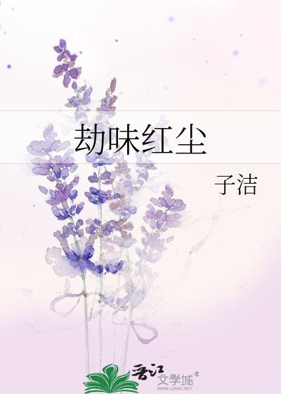 劫味红尘封面