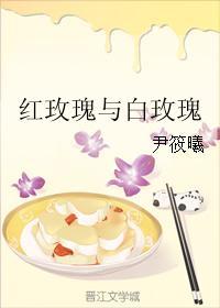 红玫瑰与白玫瑰封面
