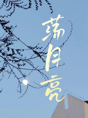 荡月亮封面