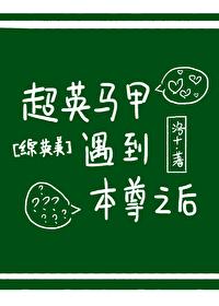 [综英美]超英马甲遇到本尊之后封面