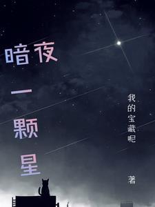 暗夜一颗星封面